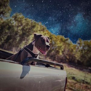 Meet your Posher, Julian